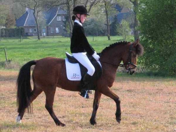 paulien